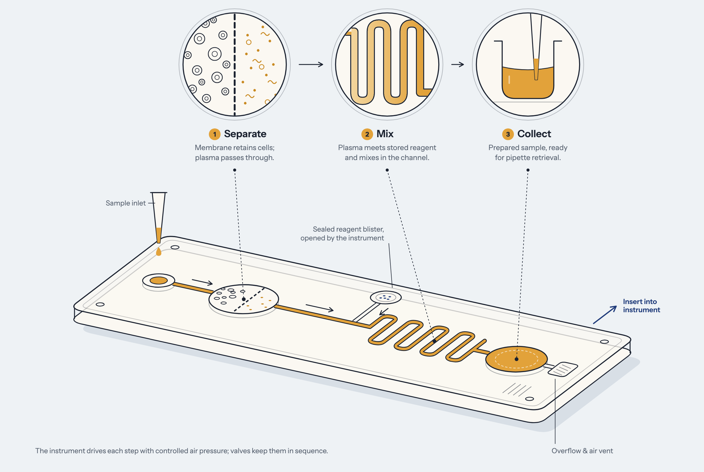 The Radiel Prep cassette separates plasma through a membrane, mixes it with a stored reagent in a serpentine channel and collects the prepared sample.